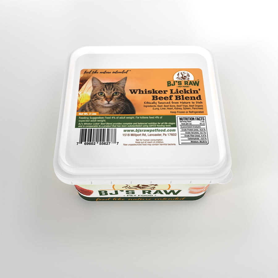 Feline Feast Introductory Package