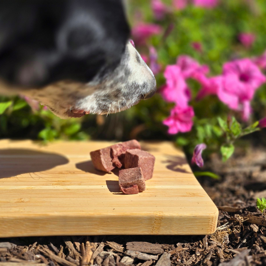 Freeze-Dried Beef Heart