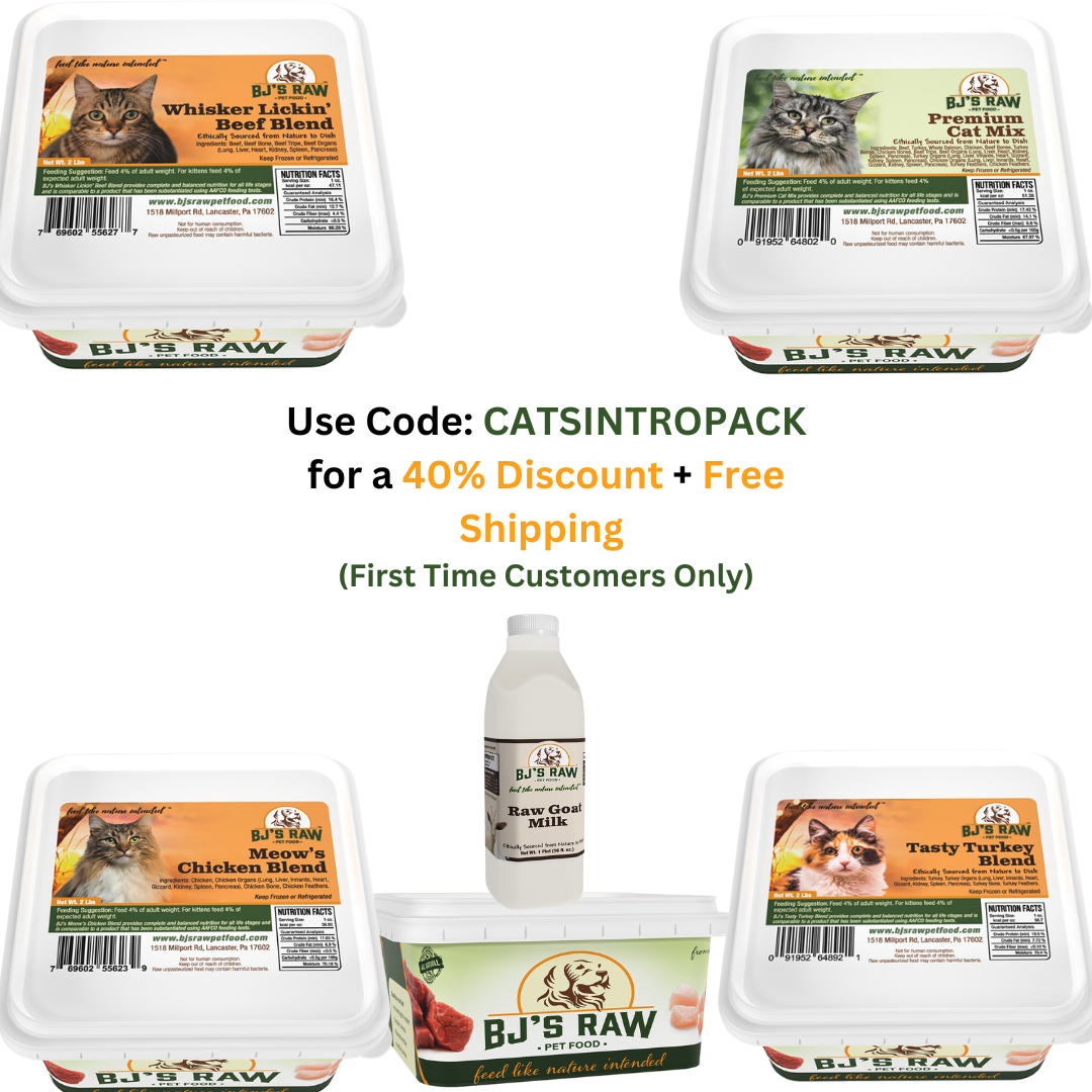 Feline Feast Introductory Package